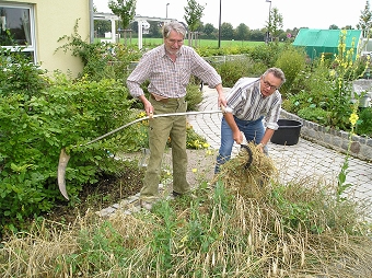 Nach Vaetersitte mit Sense und Sichel - die Gartenteammitglieder Helmut Treml und Alfons Ippenberger bei der Getreideernte. 