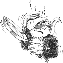 Holidix