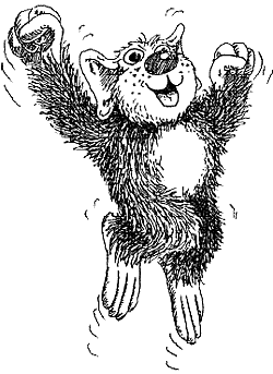 Holidix