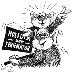 Holidix