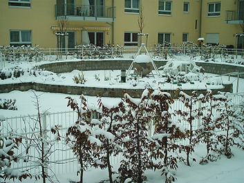 Der Winter bedeckt saemtliche Pflanzen mit einer dicken Schneeschicht. Alle nicht winterharten Pflanzen wurden ausgelagert. Entweder in die Gewächshaeuser oder anderweitig.