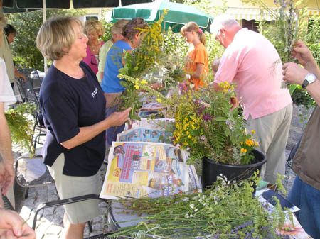 Beim Kräuterbuschen-Binden mit Gernot Scheu am 14. August 2007