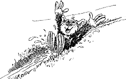 Holidix