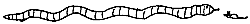 Schlange