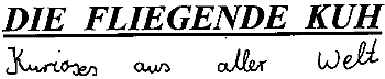 Die fliegende Kuh