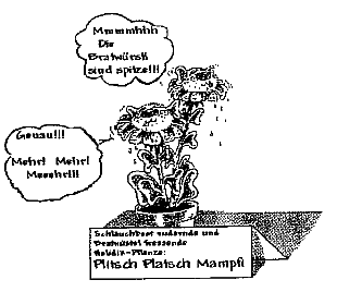 Plitsch Platsch