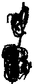 Pfanze