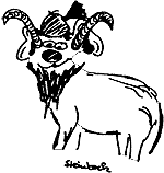 Steinbock