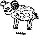 Widder
