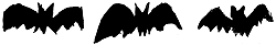 Fledermaeuse