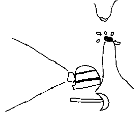 Tropfstein