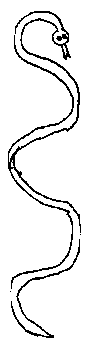 Schlange