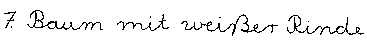 7.waagerecht
