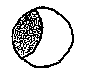 Sonnenfinsternis