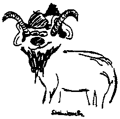 Steinbock