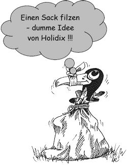 Holidix
