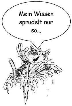 Holidix