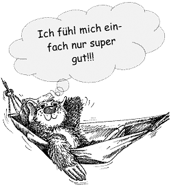 Holidix