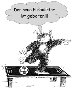 Holidix