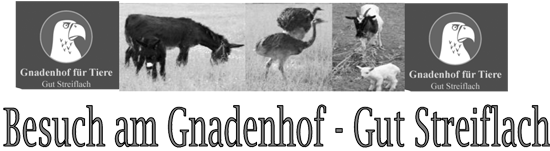 Besuch am Gnadenhof Gut Streiflach