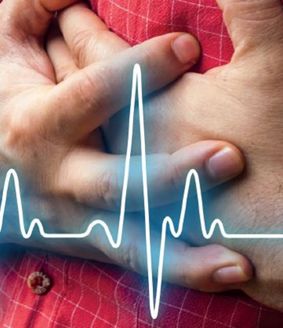 Cardio Day in Germering