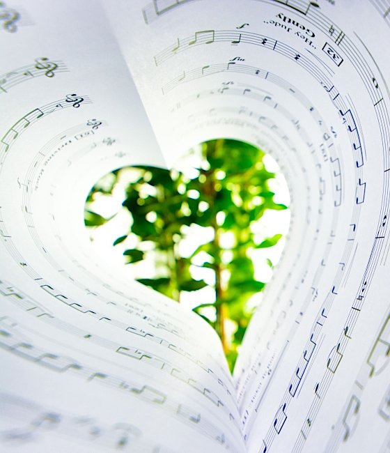 Aktuelles aus der Musikschule Germering