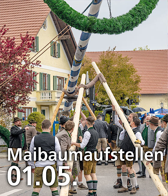 Maibaumaufstellen