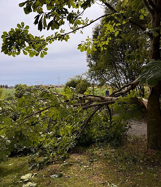 Germeringer Klimaanpassungskonzept 