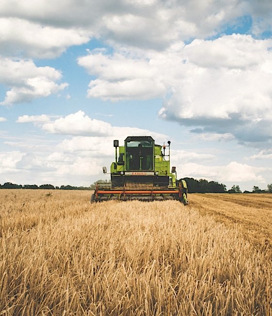 Halteverbote wegen der Erntezeit